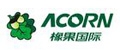 Acorn International